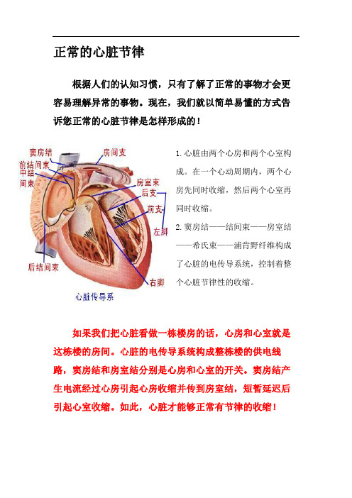 心律失常科普宣传手册