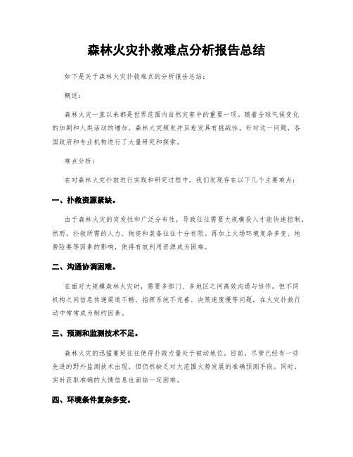 森林火灾扑救难点分析报告总结