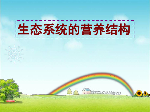 生态系统的营养结构 五中课件
