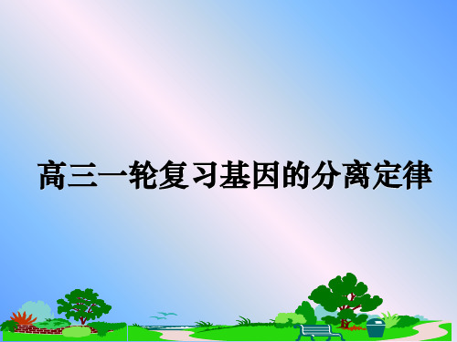 高三一轮复习基因的分离定律课件ppt