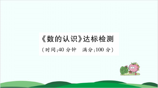 六年级下册数学小升初专项突破 习题课件第1章 数的认识 人教版