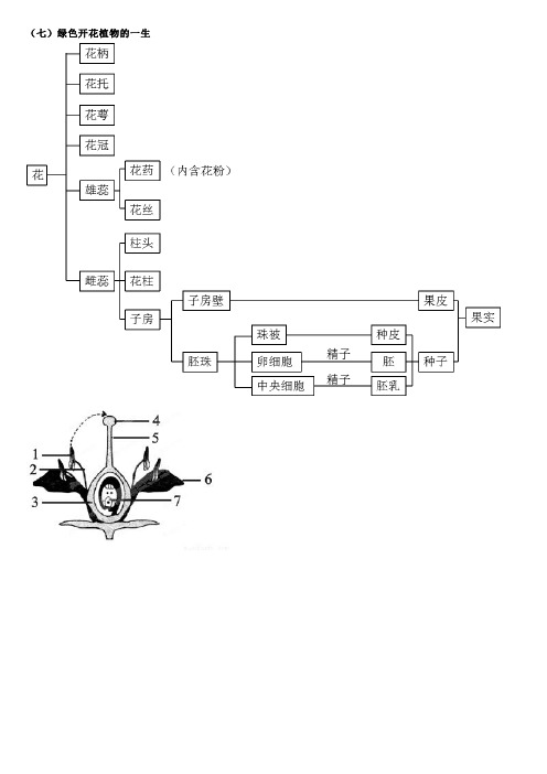 济南版初中生物八上知识点