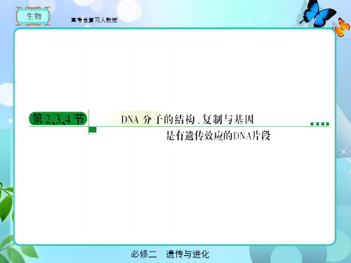 人教版高考总复习生物必修二3-469页PPT