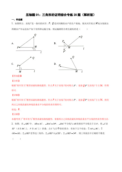 压轴题01：三角形的证明综合专练20题(解析版)- 八年级数学下学期期末精选题汇编(北师大版)