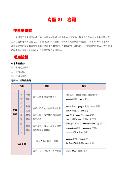 【中考英语考点详解+专项训练】专题1 名词  (解析版)