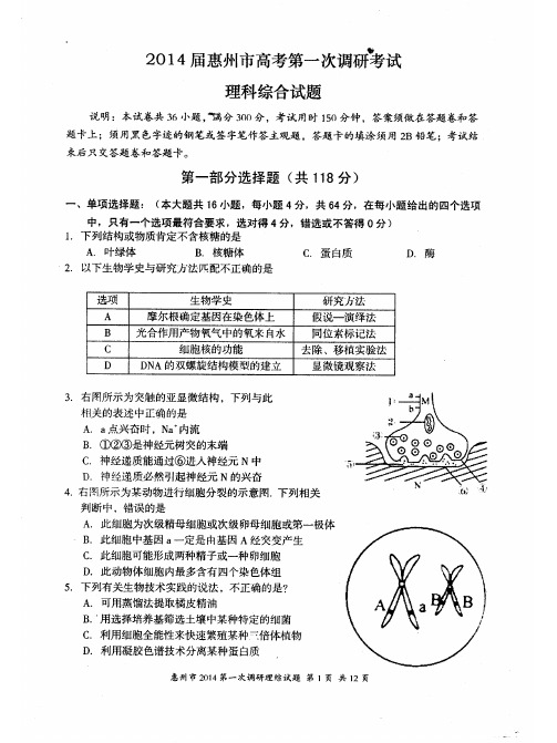 2014高三惠州市调研1理科综合(含评分标准)