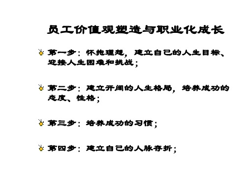员工价值观塑造与职业化成长