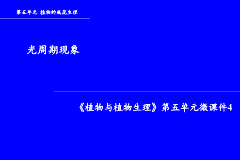 (编号278)光周期