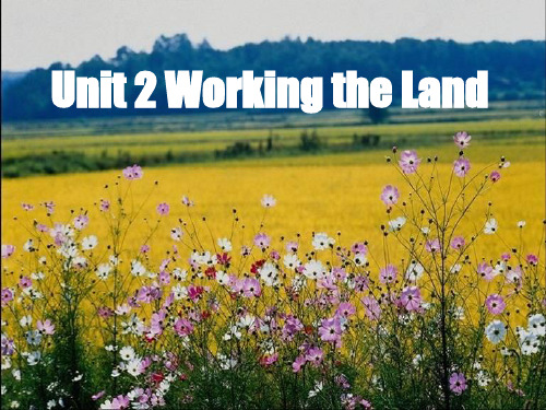 人教版高中英语Book 4 Unit 2 Working on the land reading 教学课件 (共21张PPT).ppt