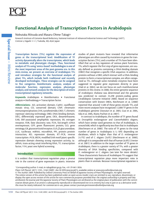 Functional analysis of transcription factors in Arabidopsis