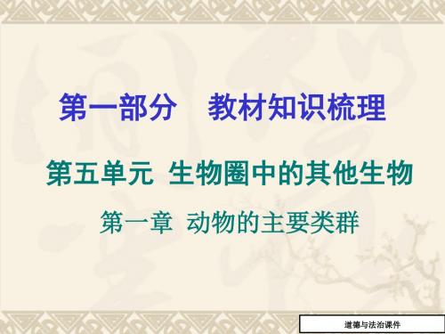 中考生物专题突破复习课件29(第五单元_生物圈中的其他生物_第一章_动物的主要类群)