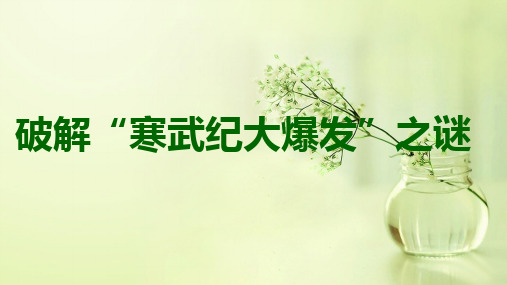 《破解“寒武纪大爆发”之谜》课件