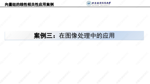 线性代数 向量组的线性相关性应用案例3-刘杨