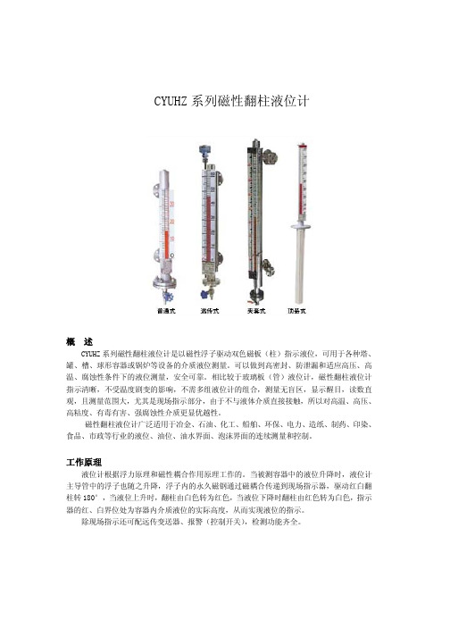 CYUHZ系列磁性翻柱液位计