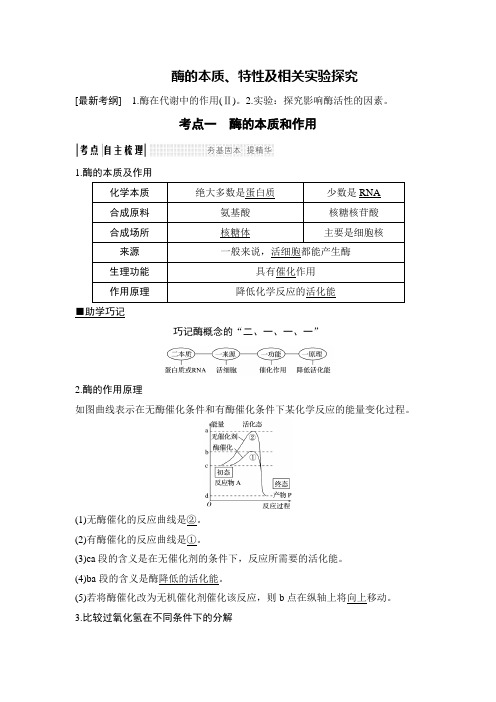 最经典总结-酶的本质、特性及相关实验探究