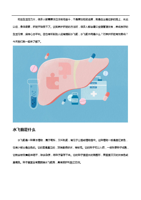 “肝脏保护剂”水飞蓟作用是什么?有益于肝脏吗?