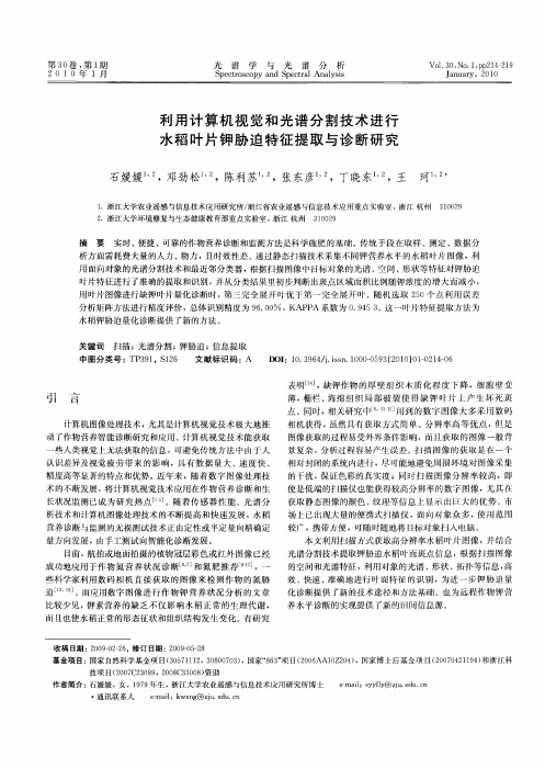 利用计算机视觉和光谱分割技术进行水稻叶片钾胁迫特征提取与诊断研究