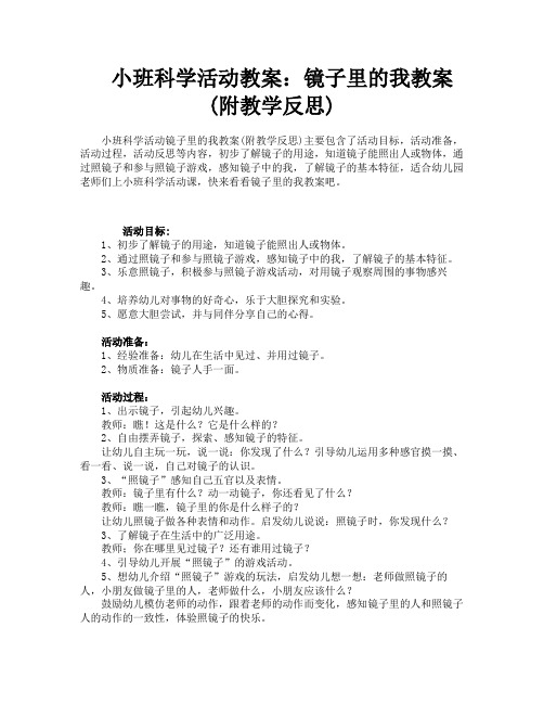 小班科学活动教案：镜子里的我教案(附教学反思)