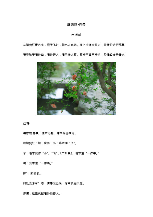 苏轼《蝶恋花 春景》全诗译文及赏析