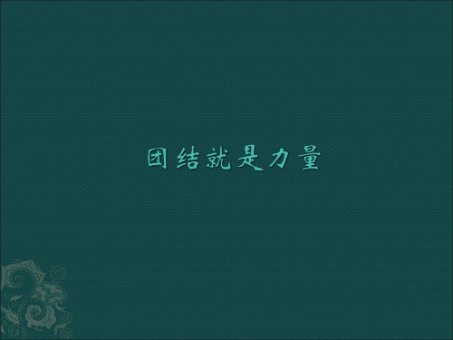 心理健康九年级 团结就是力量 课件 