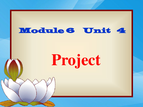 牛津版高中Module6 Unit4 Project英语课件PPT