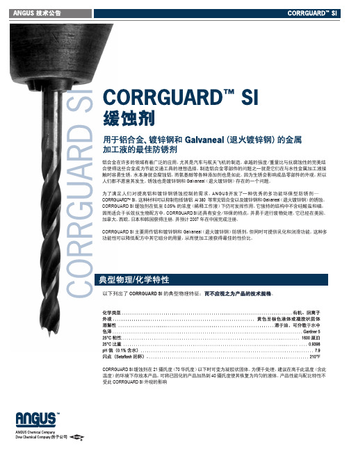 Corrguard SI(CH)