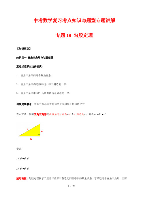 中考数学复习考点知识与题型专题讲解18---勾股定理(解析版)