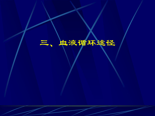 血压与脉搏 七年级生物上册教案