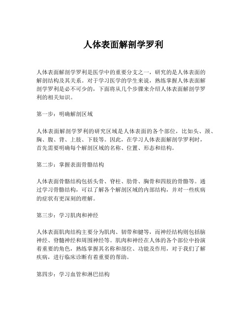 人体表面解剖学罗利