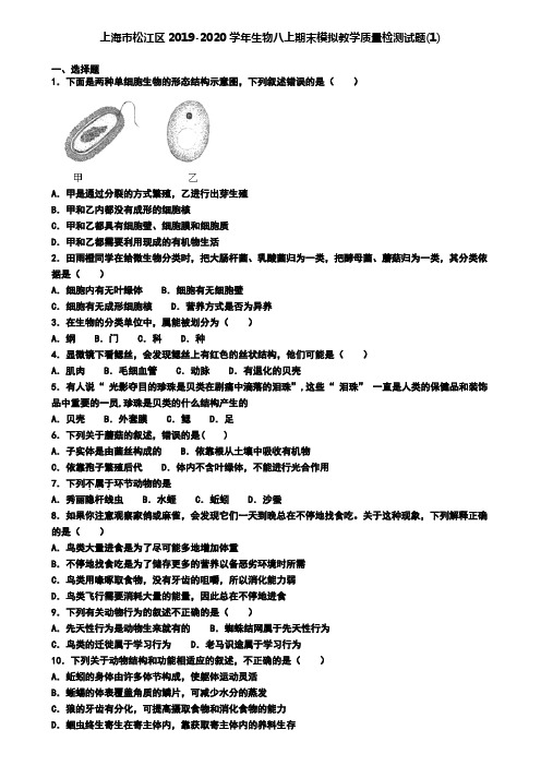 上海市松江区2019-2020学年生物八上期末模拟教学质量检测试题(1)