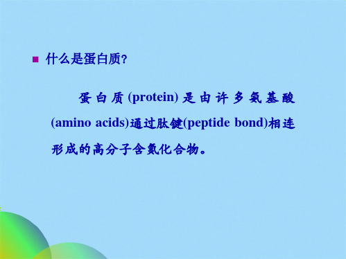 生物化学--蛋白质的结构与功能(共112张PPT)全