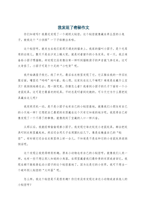 我发现了密秘作文