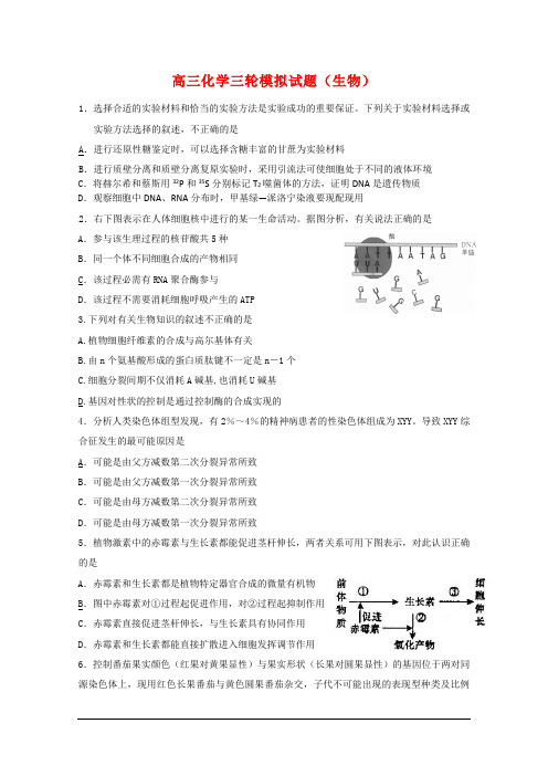 山东省济南市2010届高三生物第三次高考模拟考试 中图版 新课标.doc