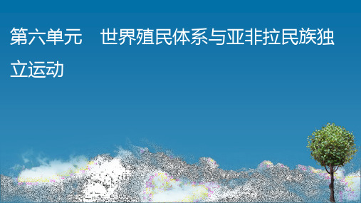 高中历史必修第2册 中外历史纲要下 第12课 资本主义世界殖民体系的形成 (2)