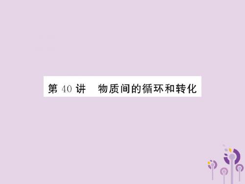 2019年中考科学总复习第40讲物质间的循环和转化(精练)课件