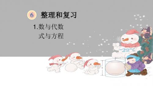 小学六年级下数学《数与代数-式与方程》优质课课件