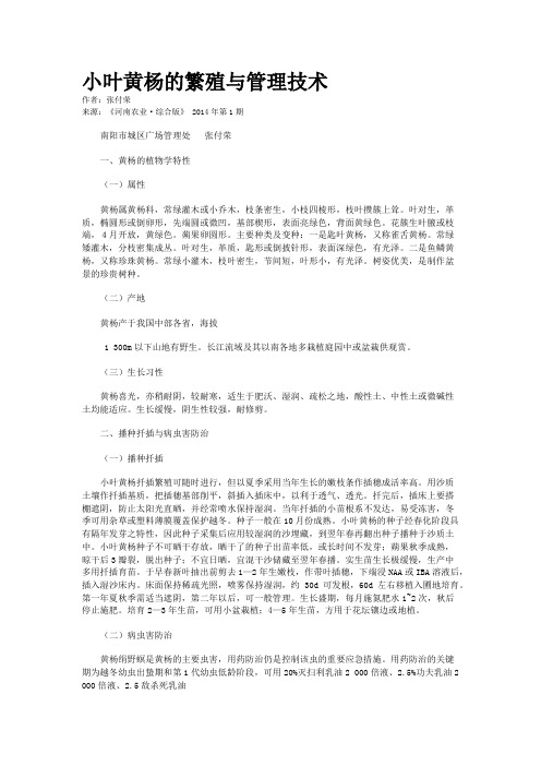 小叶黄杨的繁殖与管理技术