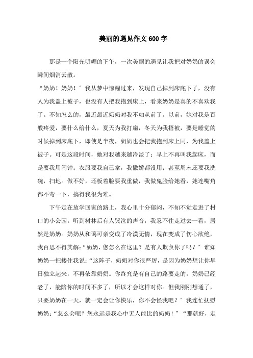 美丽的遇见作文600字精选