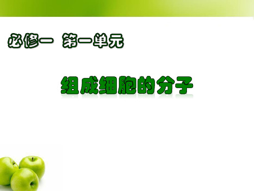 1-1复习 借助显微镜走进细胞