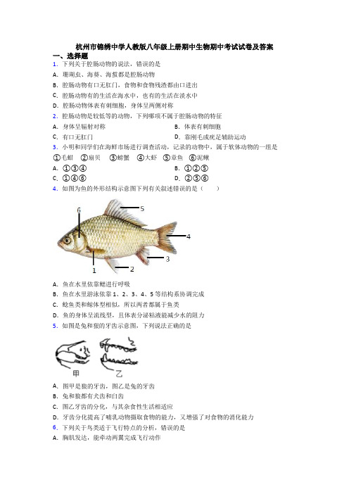 杭州市锦绣中学人教版八年级上册期中生物期中考试试卷及答案