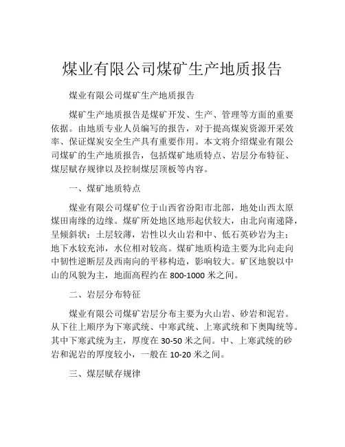 煤业有限公司煤矿生产地质报告