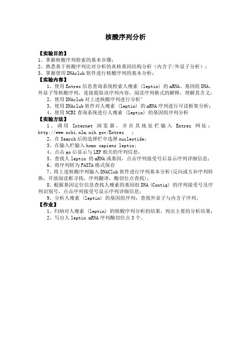 生物信息学   实验  核酸序列分析