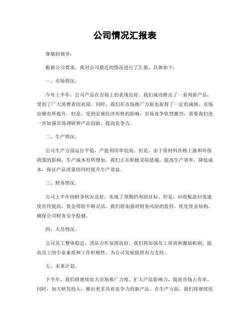 公司情况汇报表