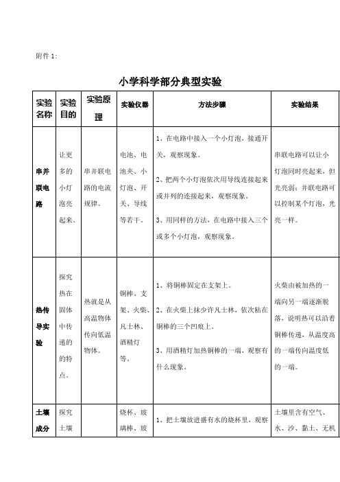 小学科学教师实验操作技能大赛