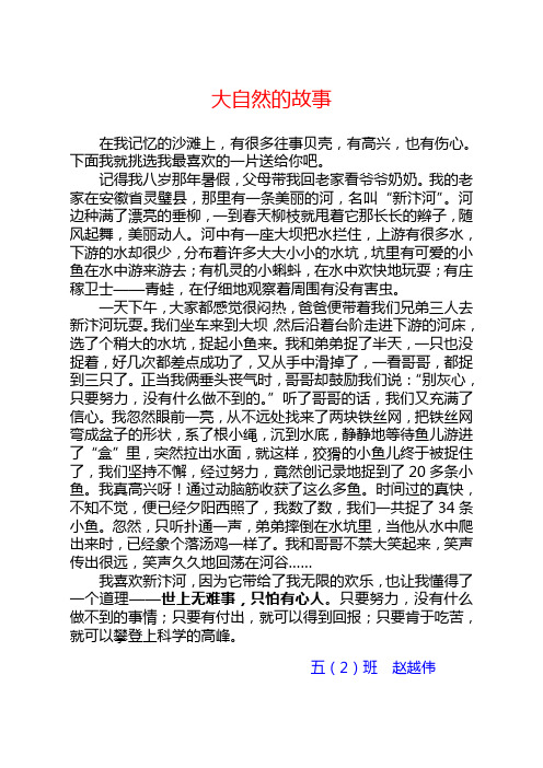 大自然的故事