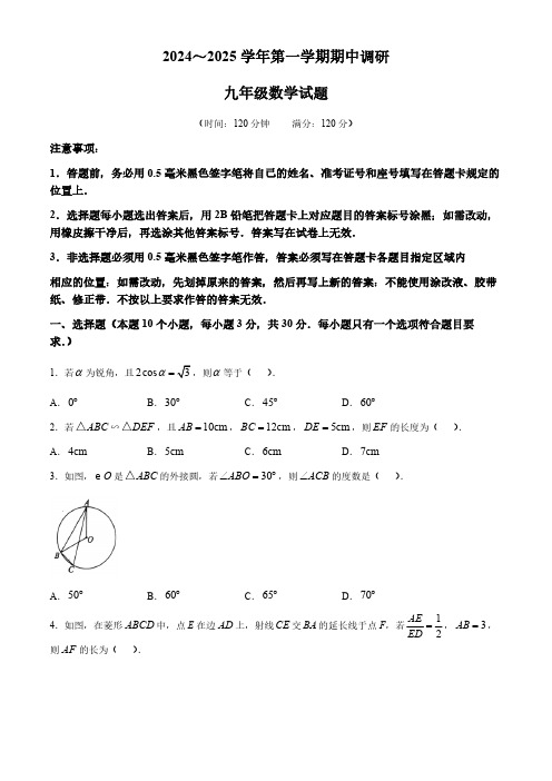 山东省聊城市东阿县2024-2025学年九年级上学期期中考试数学试题(含答案)