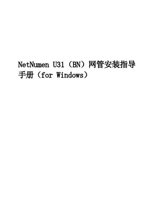 netnumenu31网管安装指导手册