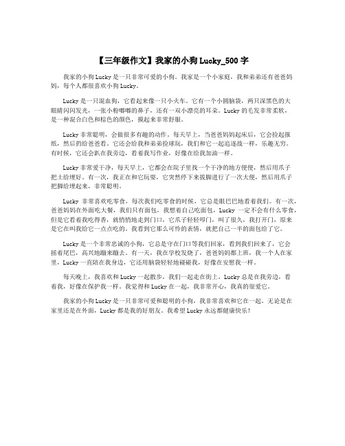 【三年级作文】我家的小狗Lucky_500字