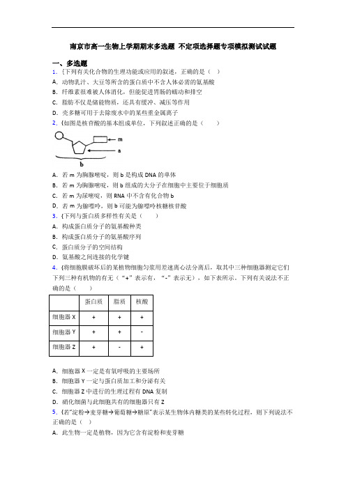 南京市高一生物上学期期末多选题 不定项选择题专项模拟测试试题