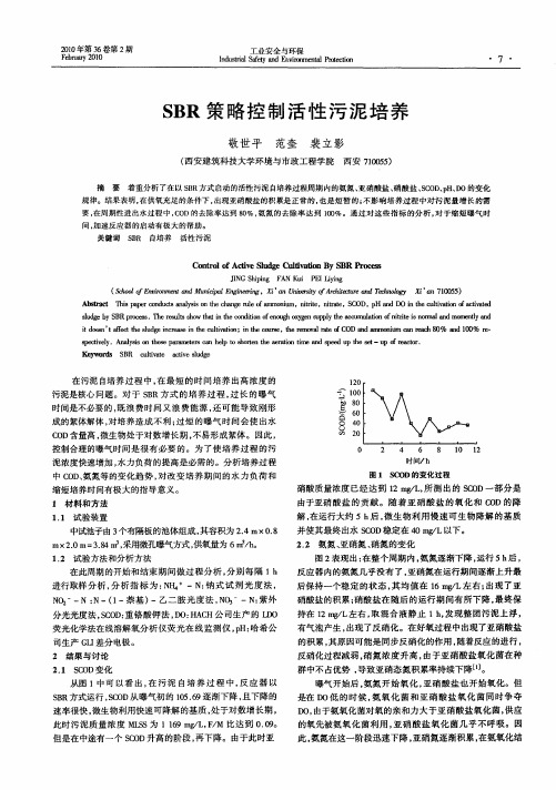 SBR策略控制活性污泥培养